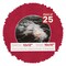 Red Suede Mat Board for 12x12 Frames - Circle Opening for 10x10 Photos
